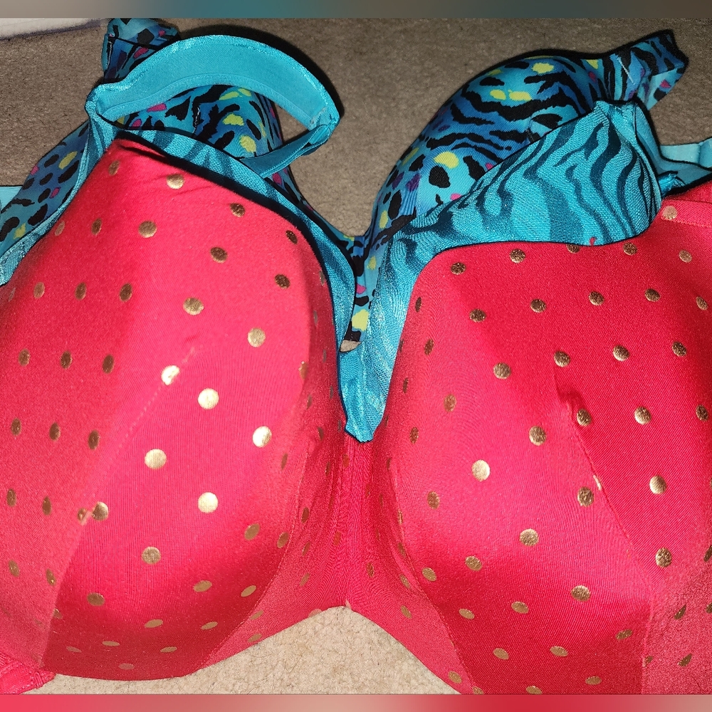 Lane Bryant bras